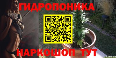 ECSTASY Лесосибирск