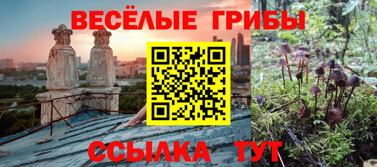Гуково  Псилоцибиновые грибы мицелий  Вход с VPN  Галлюциногенные грибы Psilocybine cubensis 