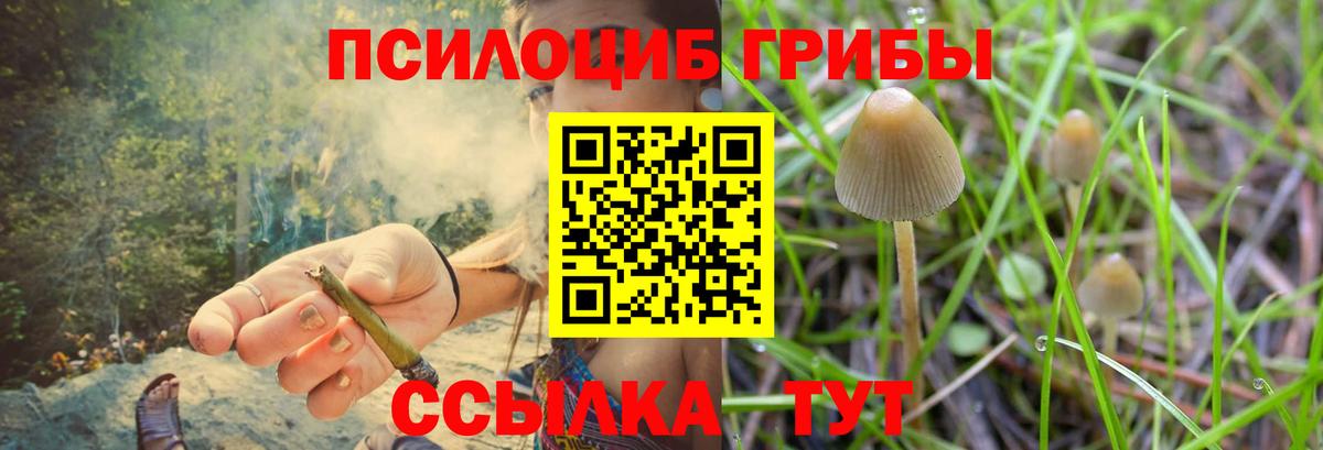 Галлюциногенные грибы Cubensis Гуково